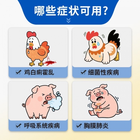 【豬大夫】 20%氟苯尼考粉  ，各種傳染性胸膜肺炎豬肺疫副豬等呼吸道疾病