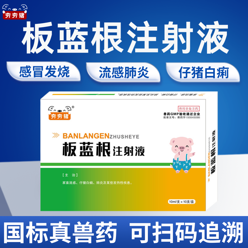 【夯夯豬】板藍根注射液 清熱解毒 去火退燒 流感肺炎 正品國標
