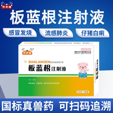 【夯夯豬】板藍根注射液 清熱解毒 去火退燒 流感肺炎 正品國標