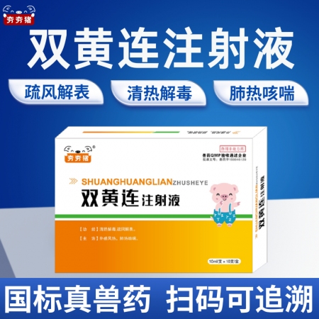 【夯夯豬】雙黃連注射液 清熱解毒 外感風熱 稀釋頭孢 孕畜可用 正品國標