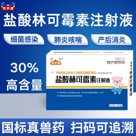 【夯夯豬】30%鹽酸林可霉素注射液 細菌感染 肺炎咳喘 產后消炎