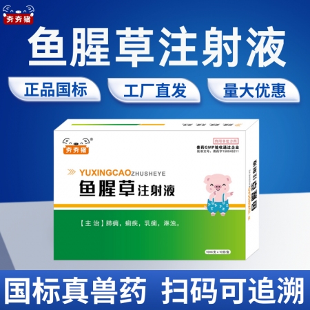 【夯夯豬】魚腥草注射液 母豬產后康復 子宮炎 乳房炎 清熱解毒 稀釋頭孢