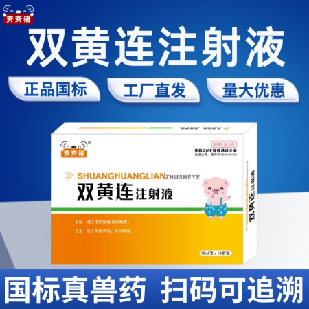 【夯夯豬】雙黃連注射液 清熱解毒 外感風熱 稀釋頭孢 孕畜可用 正品國標