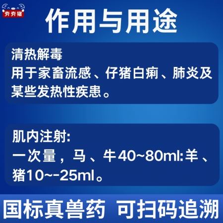【夯夯豬】板藍根注射液 清熱解毒 去火退燒 流感肺炎 正品國標