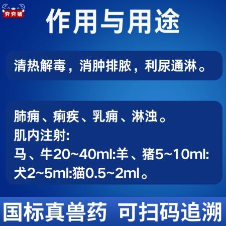 【夯夯豬】魚腥草注射液 母豬產后康復 子宮炎 乳房炎 清熱解毒 稀釋頭孢