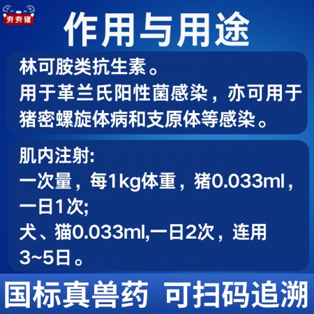 【夯夯豬】30%鹽酸林可霉素注射液 細菌感染 肺炎咳喘 產后消炎