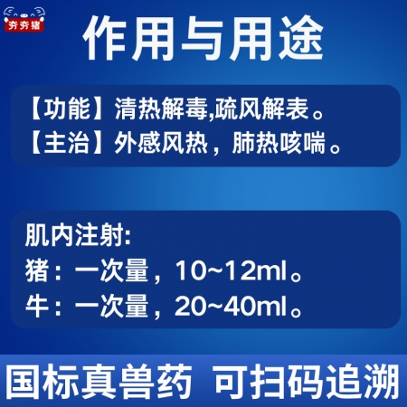 【夯夯豬】雙黃連注射液 清熱解毒 外感風熱 稀釋頭孢 孕畜可用 正品國標