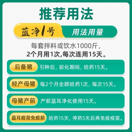【回盛生物】|藍凈一號|豬藍耳病控制方案 藍耳防控抗應激增強免疫力