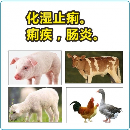 【予邦】楊樹花口服液1000ml 獸用獸藥 國標(biāo)可追溯 化濕止痢痢疾腸炎 豬牛羊雞鴨鵝均可用