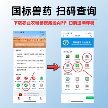 【夯夯豬】鹽酸頭孢噻呋注射液 長效緩釋 母豬產(chǎn)后消炎 仔豬三針保健 混合細(xì)菌感染