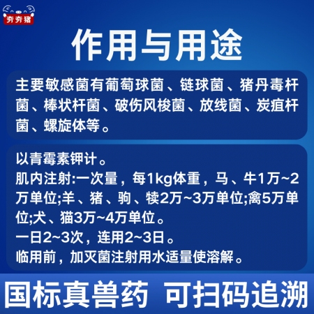 【夯夯豬】400萬單位注射用青霉素鉀 抗菌消炎 國標正品 孕畜可用