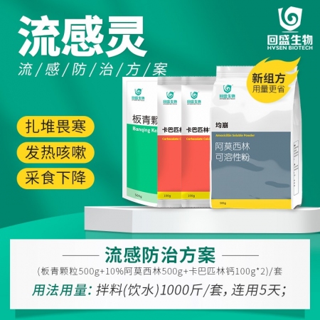 【回盛生物】|流感靈| 流感防治方案板青顆粒中藥清熱解毒退熱治流感阿莫西林粉卡巴匹林鈣解熱鎮痛消炎