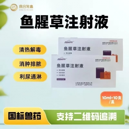 【鼎合牧高】魚腥草注射液10支/盒清熱解毒消腫利尿原豬易自營