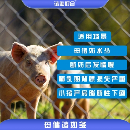 整套购-母健诸奶多500g*16包 奶水少、断奶发情慢、小猪拉稀均匀度差、母猪采食低【诸联好合】