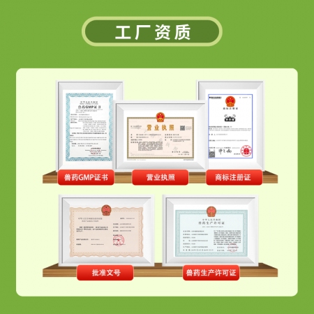 【夯夯猪】双黄连口服液 感冒发烧 咳喘流涕 清热解毒 辛凉解表 孕畜可用