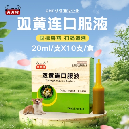 【夯夯猪】双黄连口服液 感冒发烧 咳喘流涕 清热解毒 辛凉解表 孕畜可用