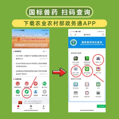 【夯夯猪】双黄连口服液 感冒发烧 咳喘流涕 清热解毒 辛凉解表 孕畜可用