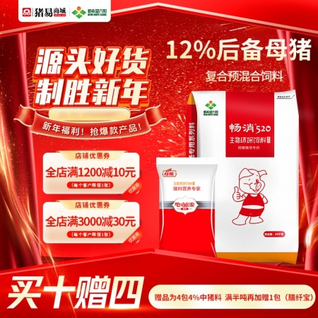 【新希望畅消】12%后备母猪浓缩料1215c 青年母猪，添加所需营养 提升使用年限 520后备母猪料
