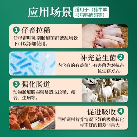 【绿健兽药】布拉希1000克天然植物饲料添加剂枯草芽孢杆菌  丁酸梭菌 用于拉稀肠道调理