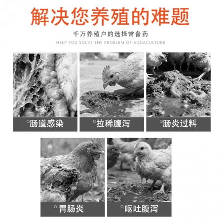 硫酸新霉素溶液鸡鸭鹅鸽猪肠炎腹泻黄白痢疾国标正品20ml*10支