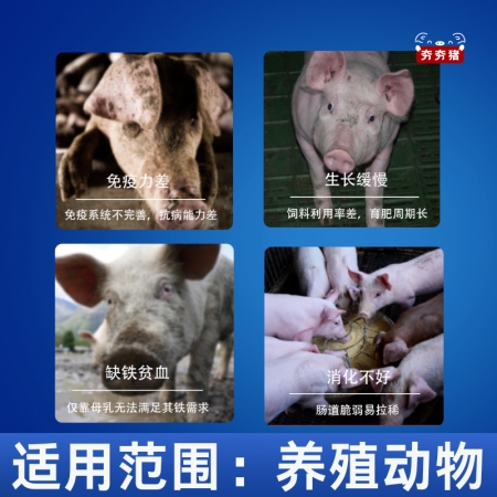 【夯夯猪】圆蓝净混合型饲料添加剂 抗病毒 促进发育 改善生长性能 兽用牛磺酸 