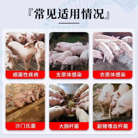 【九天生物】恩诺沙星500g/袋兽药微囊包被仔猪黄白痢猪拉稀药母猪消炎药副猪链球菌关节肿大广谱抗菌药