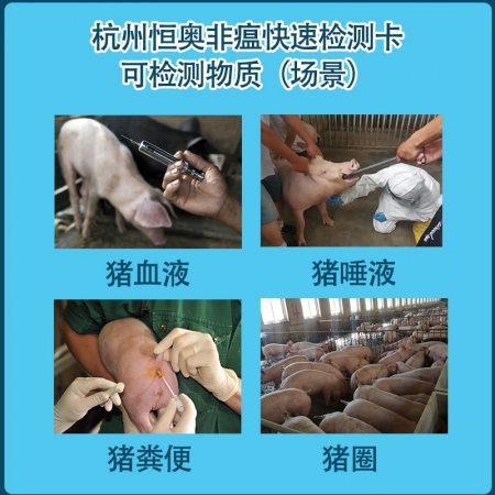 恒奥官方自营买10送2非瘟快速检测卡兽药批文养猪场专用猪场自检