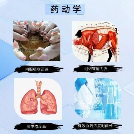 【宜生源】20%替米考星预混剂500g 微囊包被不苦不涩不伤胃高含量拌料1千斤蓝耳圆环母猪净化支原体