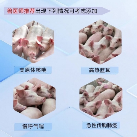 【宜生源】20%替米考星预混剂500g 微囊包被不苦不涩不伤胃高含量拌料1千斤蓝耳圆环母猪净化支原体
