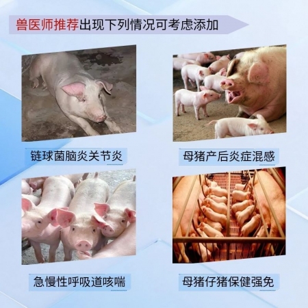 【宜生源】复方阿莫西林粉大包装500g真有克拉维酸钾链球菌脑炎关节炎副猪强力阿莫西林粉母猪保健呼吸道