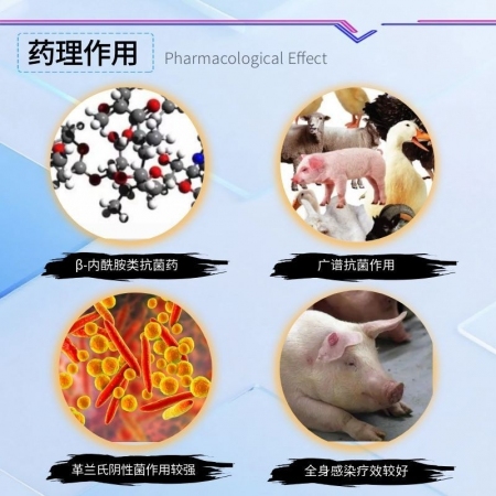 【宜生源】复方阿莫西林粉大包装500g真有克拉维酸钾链球菌脑炎关节炎副猪强力阿莫西林粉母猪保健呼吸道