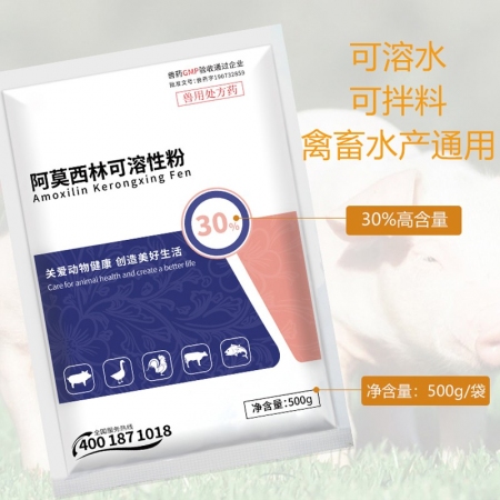 【正格农牧】育隆30%阿莫西林兽用可溶性粉鸡鸭牛羊猪水产药消炎咳嗽肠炎兽药