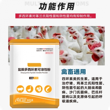 【正格农牧】育隆10%盐酸多西环素兽用强力霉素粉消炎鸡猪牛羊呼吸道水产兽药