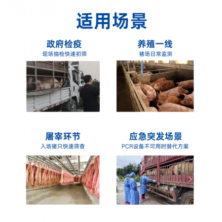 【聚划算】拍1000送600非瘟快速检测卡抗原试纸可检测环境准确性高兽药批文10分钟出结果猪场自检