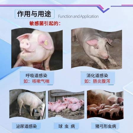 【宜生源】12%复方磺胺间甲氧嘧啶钠粉 500g装仔猪链球菌脑炎瘸腿高热混感呼吸道咳喘腹泻肠炎