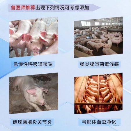 【宜生源】12%复方磺胺间甲氧嘧啶钠粉 500g装仔猪链球菌脑炎瘸腿高热混感呼吸道咳喘腹泻肠炎