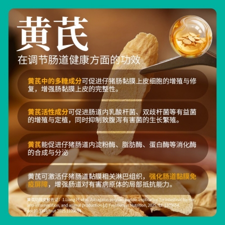 【回盛生物】#仔泻宁250ml口服液兽用猪用哺乳仔猪拉稀腹泻消化道正品