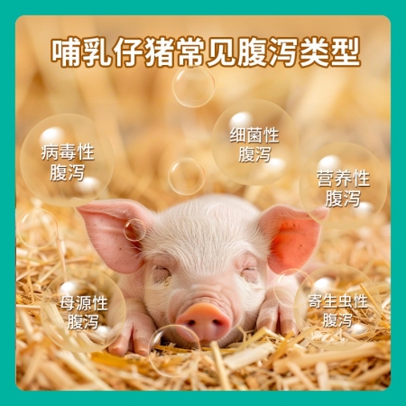 【回盛生物】#仔泻宁250ml口服液兽用猪用哺乳仔猪拉稀腹泻消化道正品