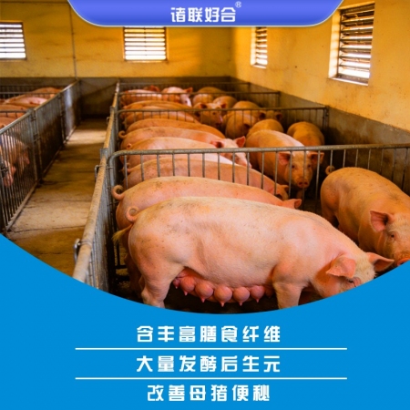 【诸孕宝】6%妊娠母猪核心料营养包 搭配【诸孕好】同用 预混料 怀孕料 妊娠料