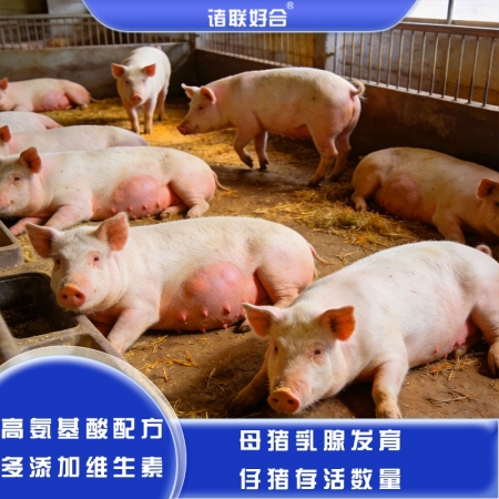 【诸孕好】4.58%妊娠母猪核心料 配种后—108天使用 攻胎不换料 预混料 怀孕料 妊娠料