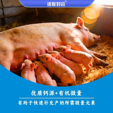 【诸奶好】6.48%泌乳/哺乳母猪核心料 预混料 哺乳料