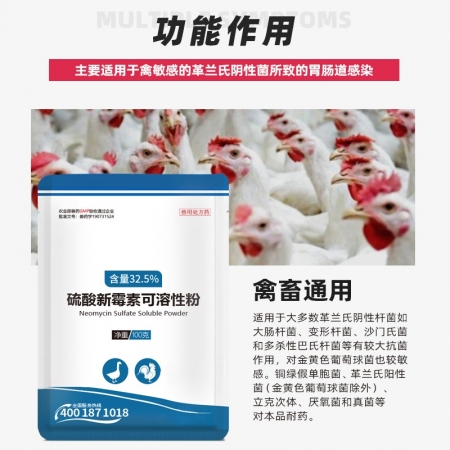  【正格农牧】育隆32.5%硫酸新霉素兽用可溶性粉禽用鱼药肠炎猪鸡拉稀止痢兽药