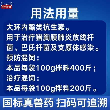 【夯夯猪】20%替米考星预混剂 微囊包被 呼吸道感染 胸膜肺炎 净化蓝耳 孕畜可用