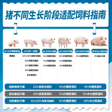 【新希望畅消】12%乳猪浓缩料1211c  适用于断奶后保育期配后成本1.72元/斤 乳猪仔猪料六和