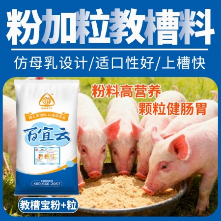 百乐教槽宝 粉加粒教槽料 小猪仔猪开口料 爱吃 好上口 增重快 鱼粉颗粒