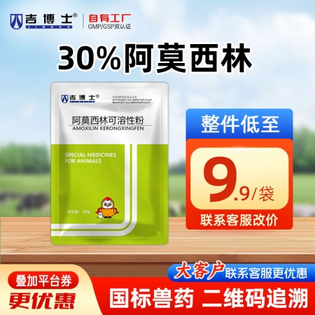 【吉博士】30%阿莫西林可溶性粉100g 抗菌全身感染呼吸道