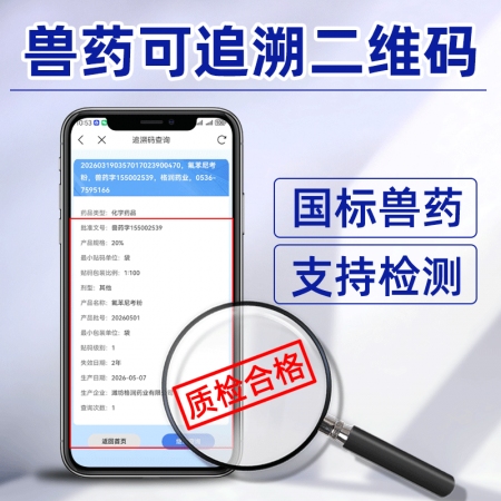 【吉博士】20%氟苯尼考粉100g 白痢肠炎呼吸大肠埃希菌
