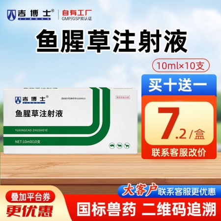 【吉博士】鱼腥草注射液针剂 10ml/支*10支/盒 清热解毒利尿通淋痢疾乳痛