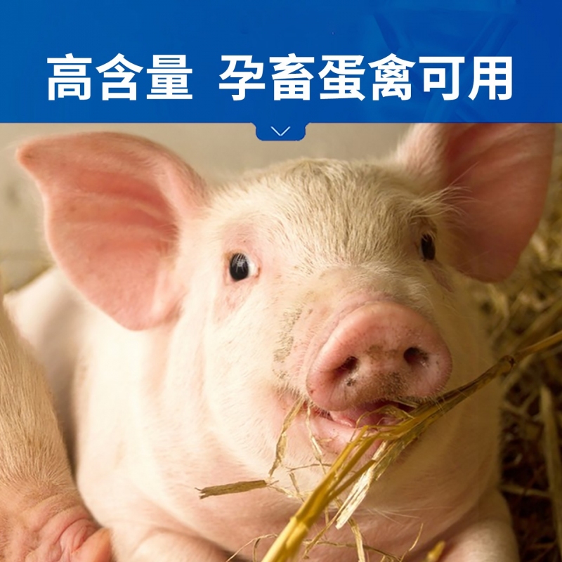 【中龙神力】100g黄芪多糖粉，70%含量，水溶型饲料添加剂，增强机体抵抗力