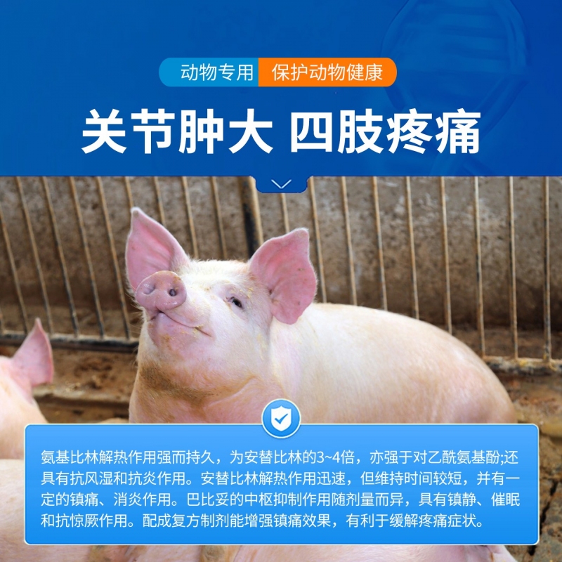 【中龙神力】安痛定注射液解热镇痛 肌肉关节疼痛 抗炎 用于发热性疾病 10ml*10支 国标可追溯